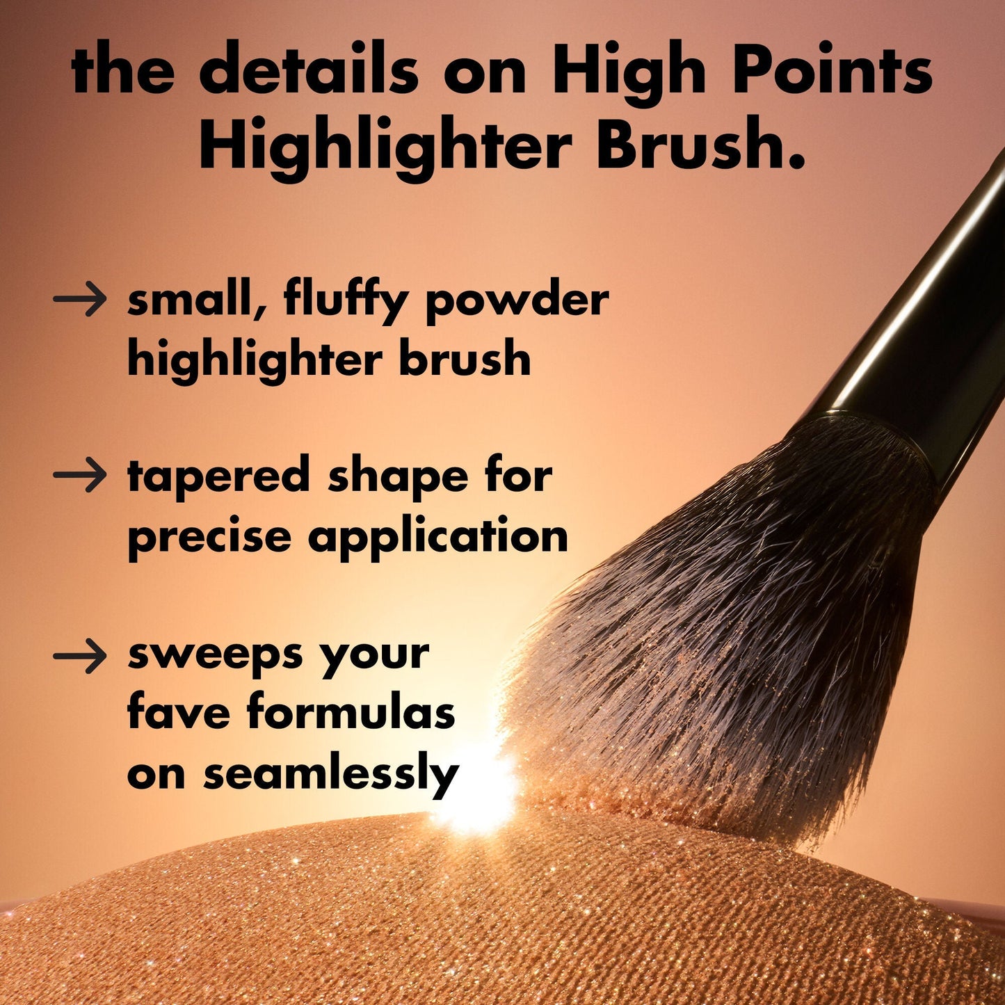 high-points-highlighter-brush-l4 0226_EDU_HighpointsHighlighterBrush_Details.jpg