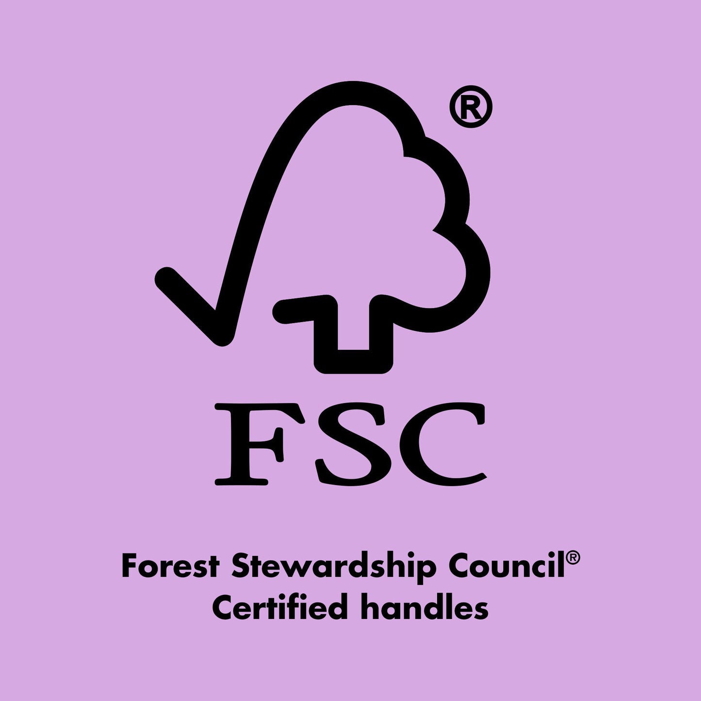 ten-out-of-ten-brush-kit-r4 0423_EDUCATION_FSC_EVERGREEN.jpg