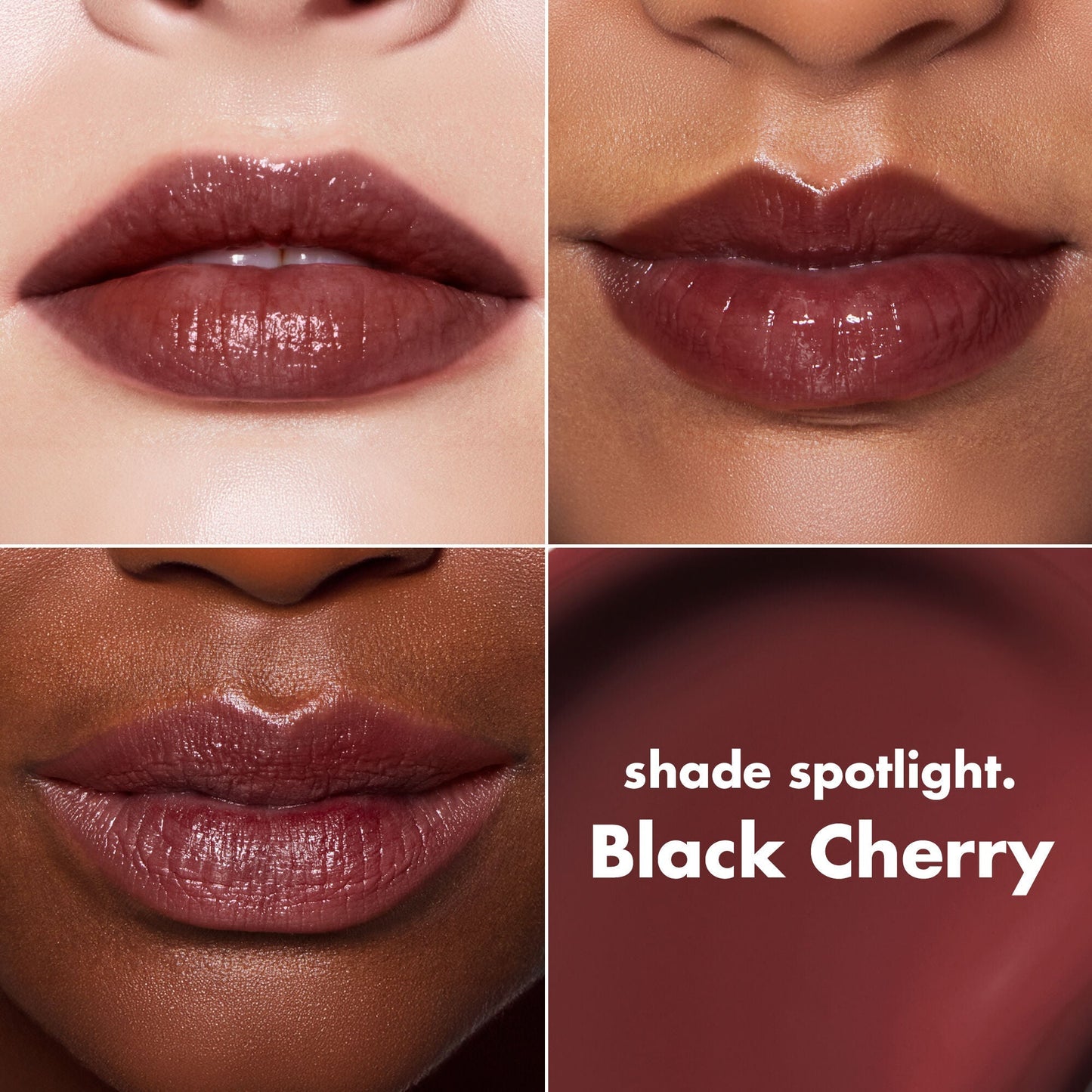 lip-lacquer-b5 0426_EDU_LipLaquer_ShadeChart_BlackCherry.jpg