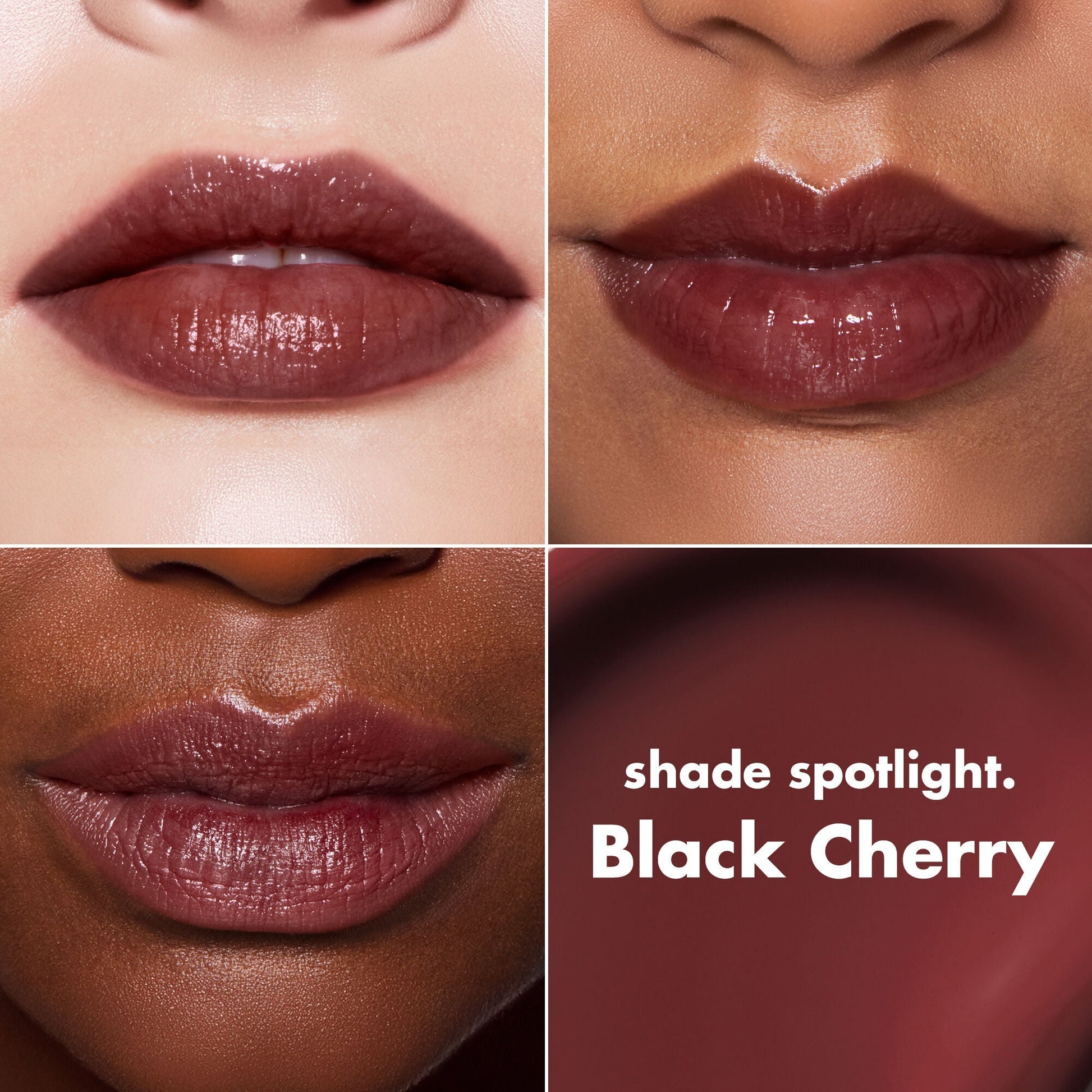 lip-lacquer-b5 0426_EDU_LipLaquer_ShadeChart_BlackCherry.jpg