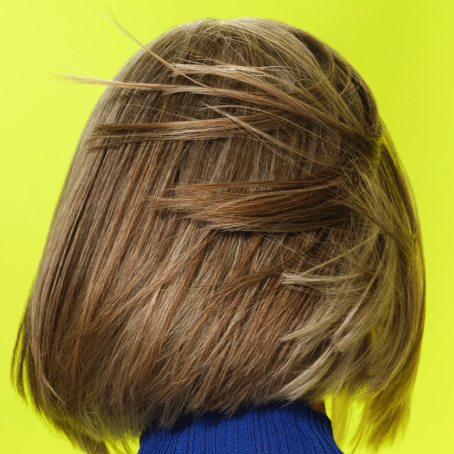 frizz-to-rizz-trio-n5 111725_Vicky_HumidityAntifrizz-Editorial_0538_w2QC_IGF_1x1_05a09617-4ccf-44a2-8545-199321a503e1.jpg