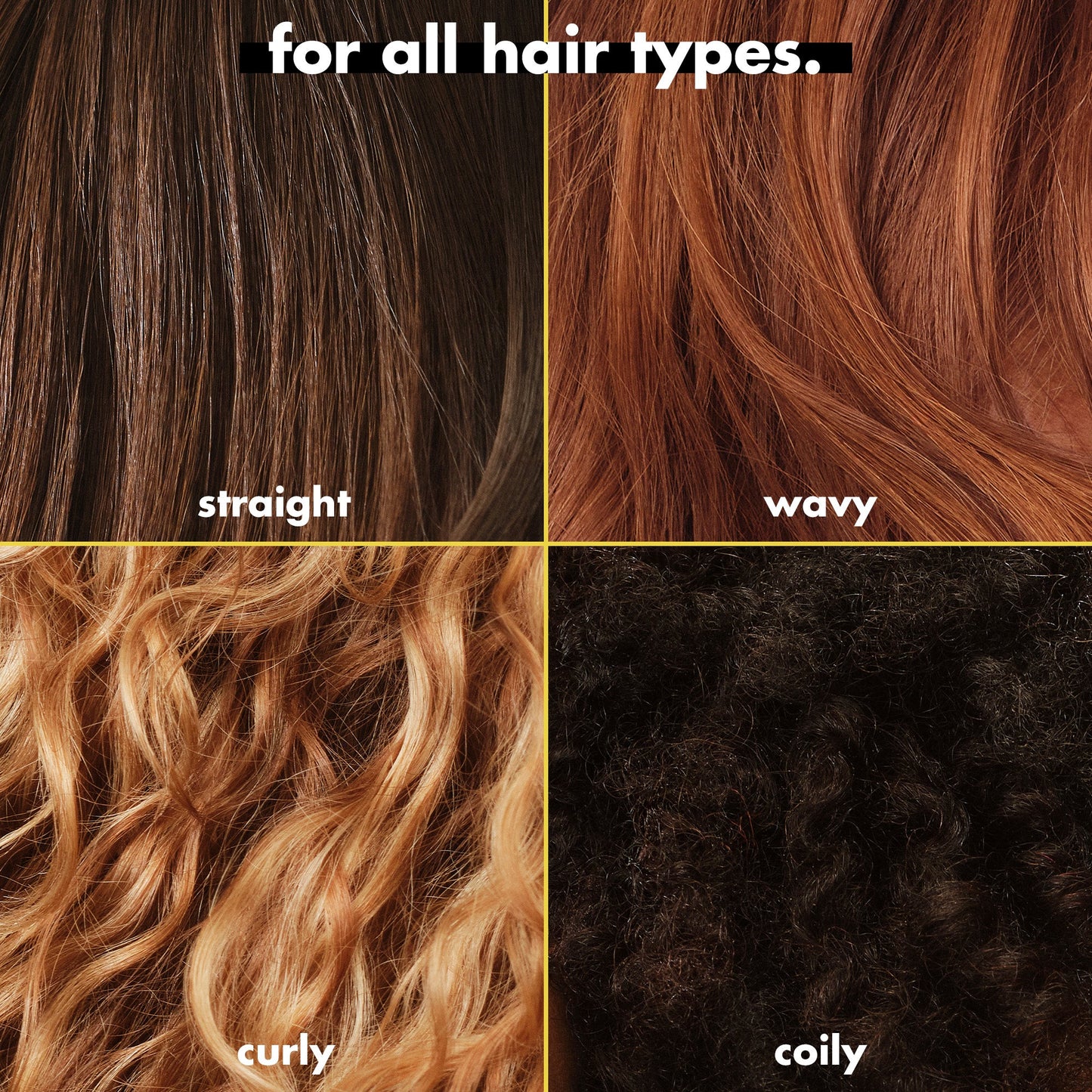 3-in-wonder-duo-z3 FA26_EDUCATION_DARE_GLOSS_MODE_ALLHAIR_TYPES.jpg
